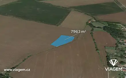 Prodej pole 3 981 m², Jankovice, okres Pardubice