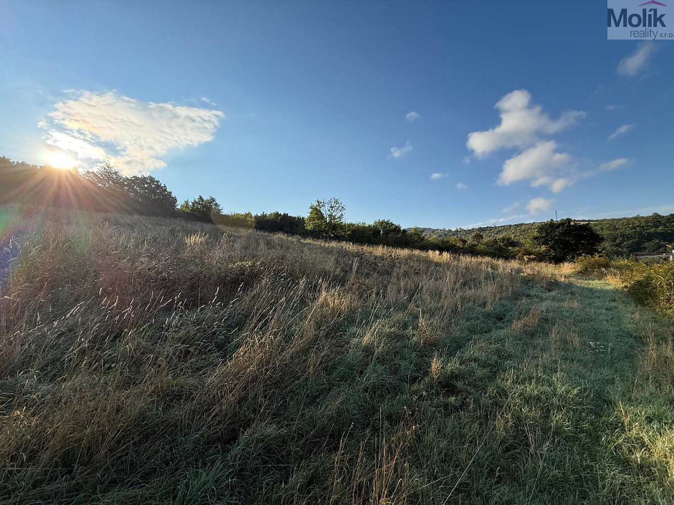 Prodej stavebního pozemku 1 645 m², Bžany