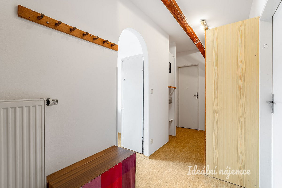 Pronájem bytu 1+1 43 m² – fotografie 4