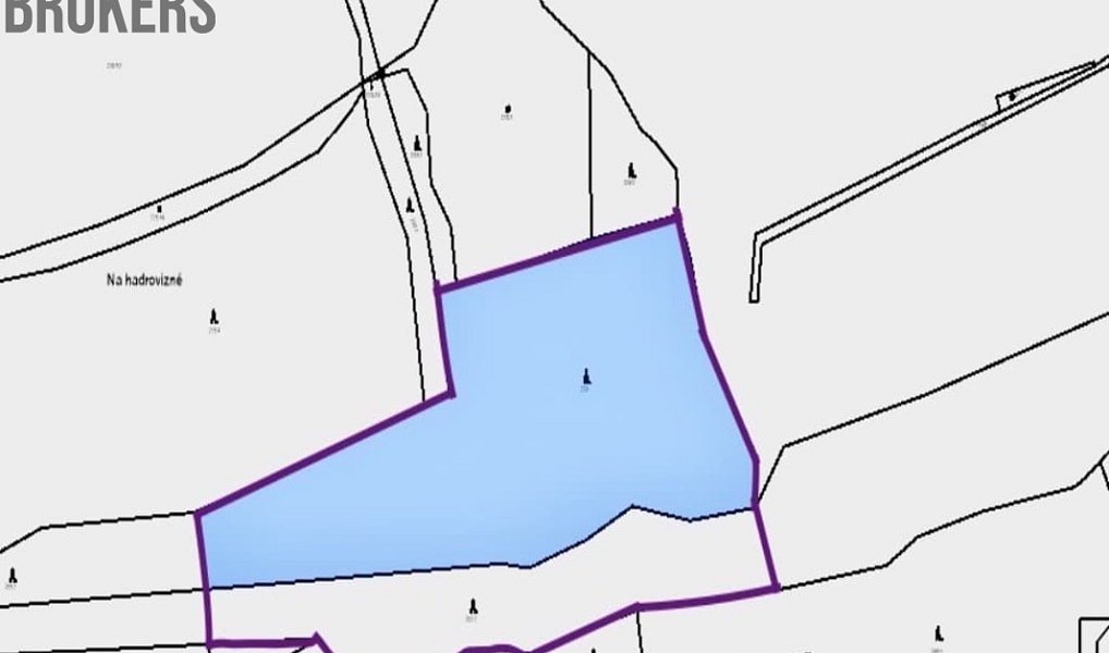 Prodej lesa 21 836 m², Hracholusky – náhled fotky 3