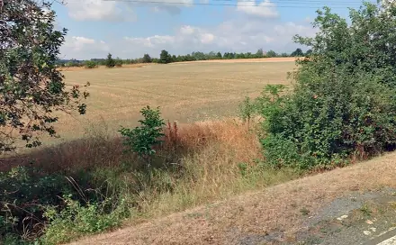 Dražba pole 645 m², Velký Újezd