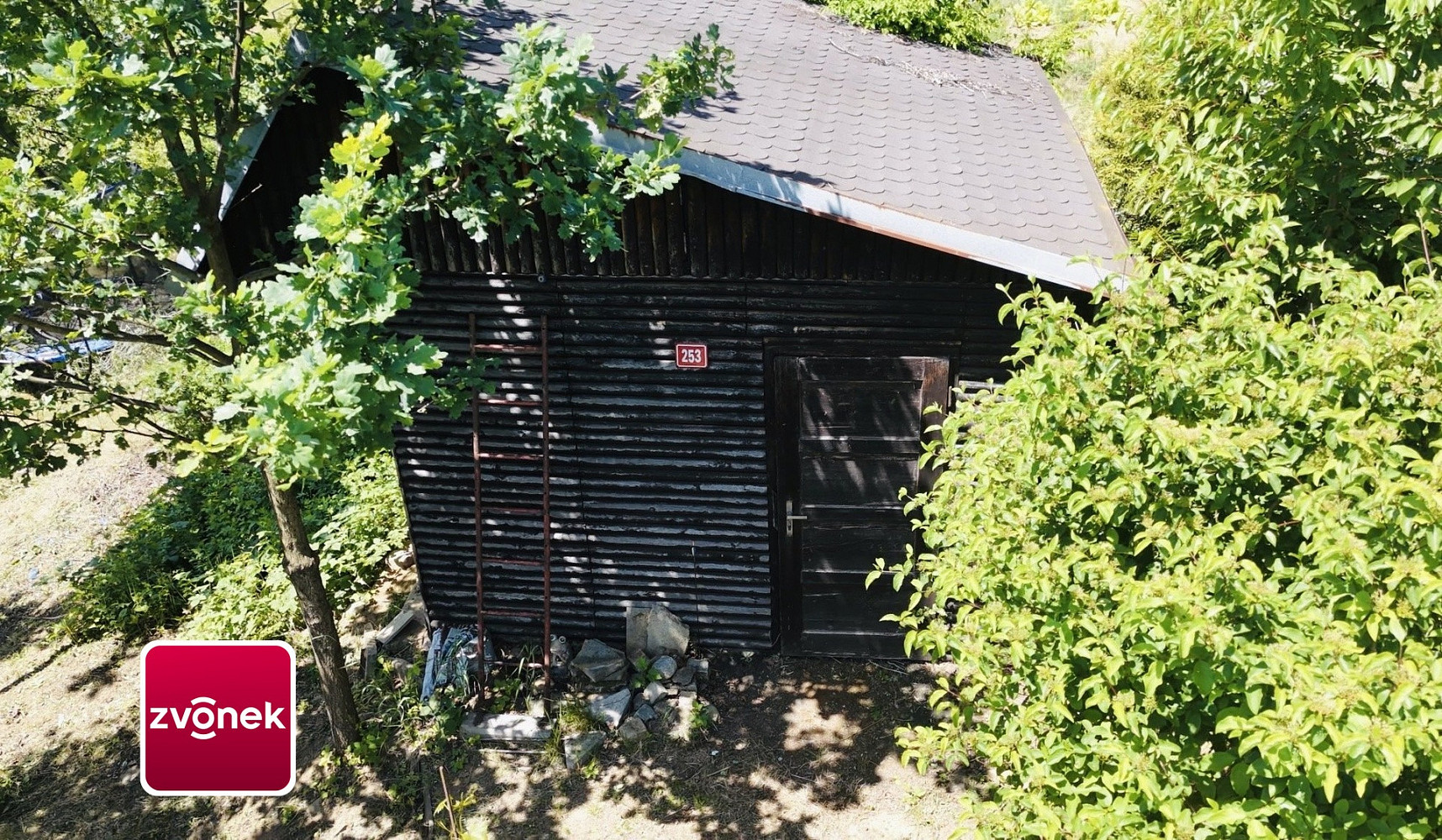 Fotka 9 z 12