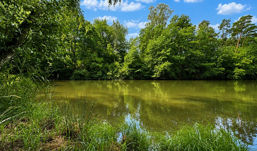 Prodej vodní plochy 25 771 m², Dačice – náhled fotky 6
