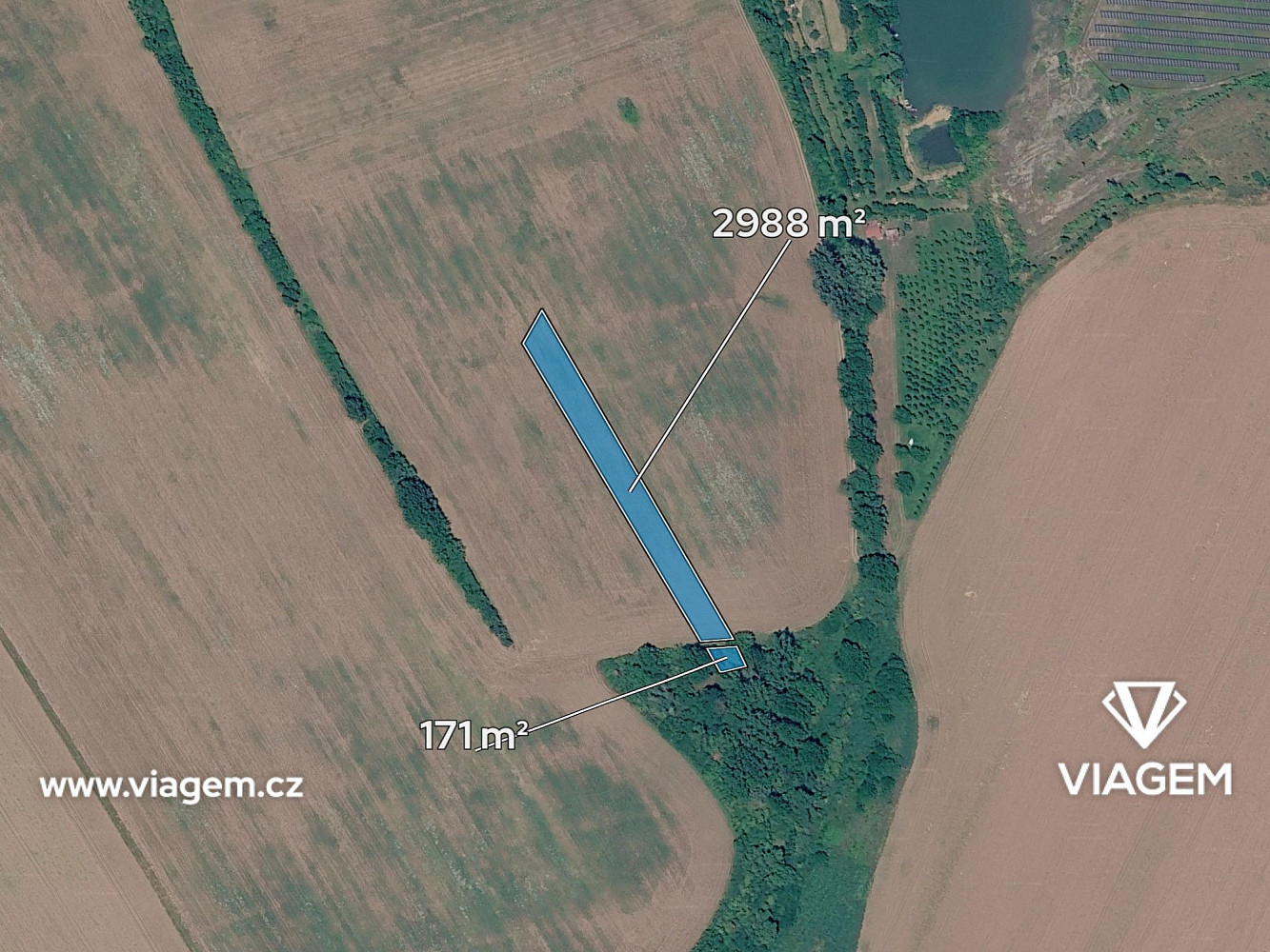 Prodej pole 3 159 m² — photo 2