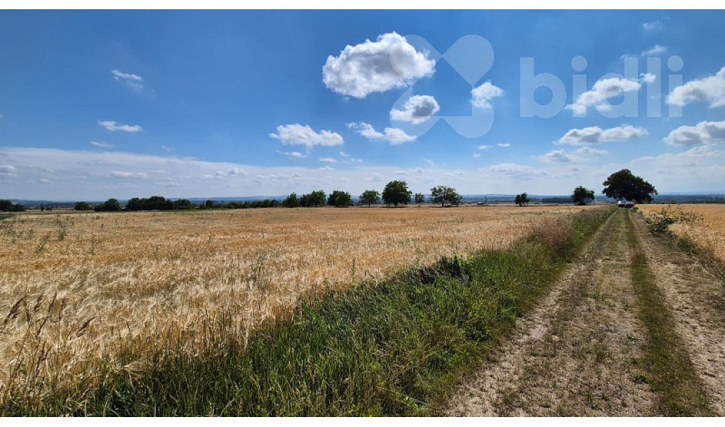 Prodej pole 1 035 m², Stará Ves – náhled fotky 6