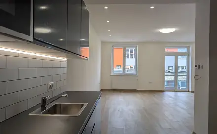 Pronájem bytu 1+kk 55 m², Na louži, Praha 10 - Vršovice
