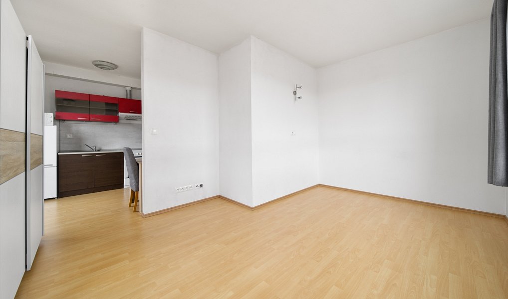Pronájem bytu 1+kk 30 m², Plzeň – náhled fotky 4