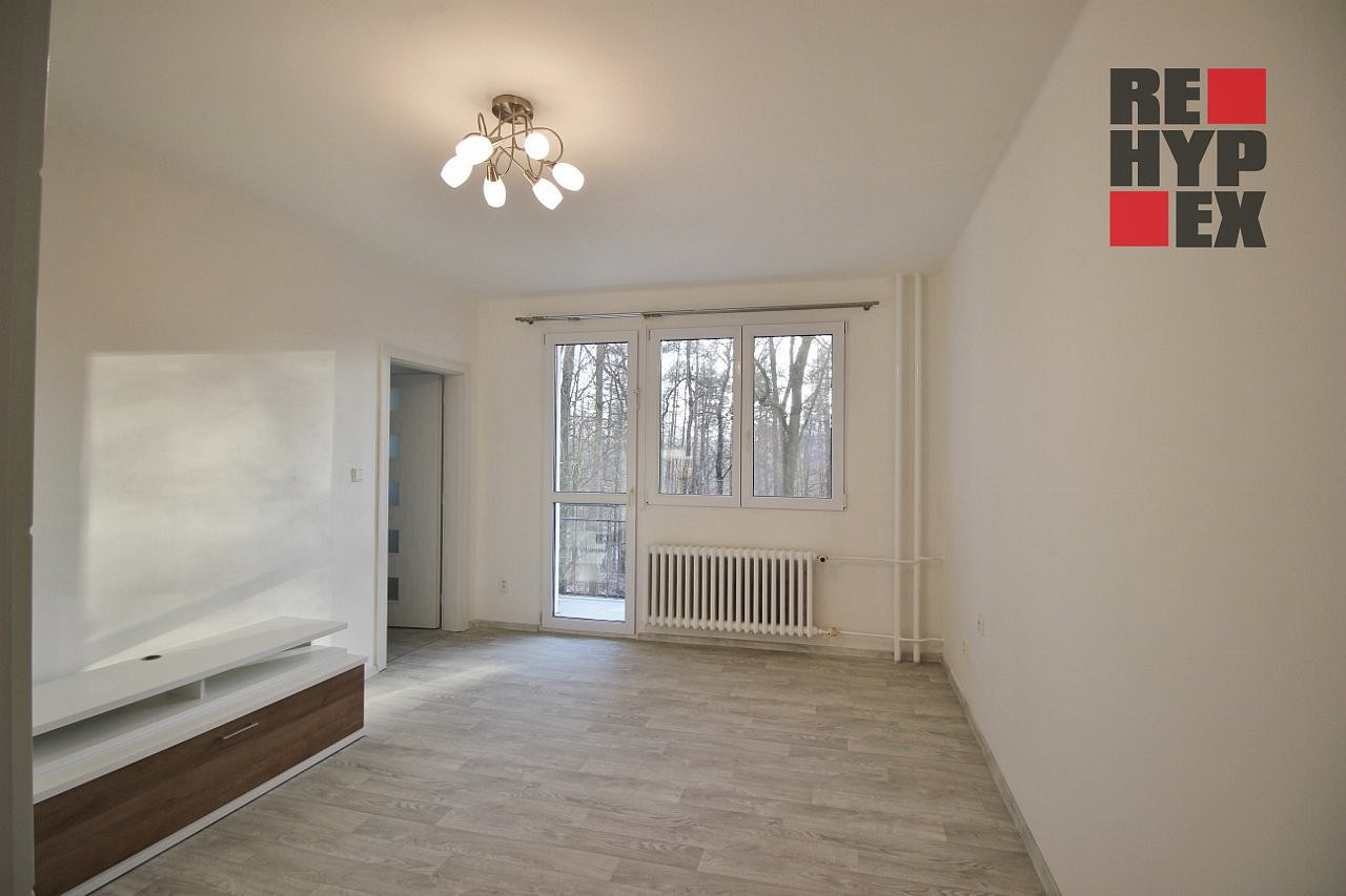 Pronájem bytu 3+1 65 m²