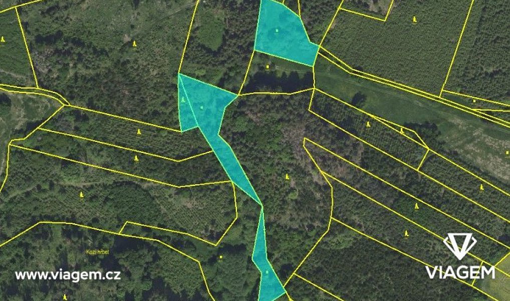 Prodej lesa 6 015 m², Zbizuby – náhled fotky 2