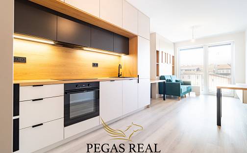 Pronájem bytu 1+kk 30 m², Dornych, Brno