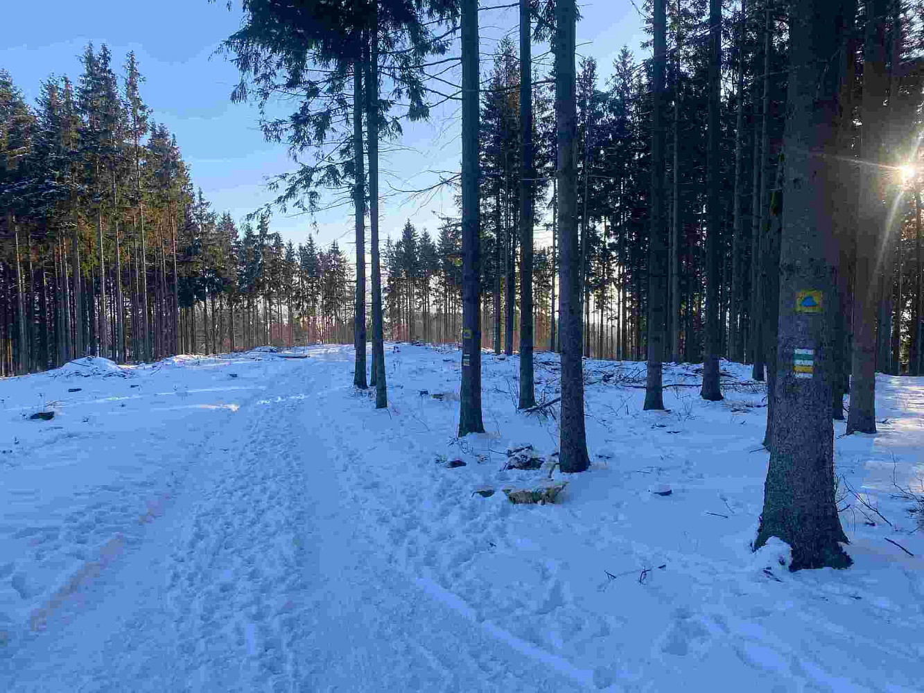 Prodej pozemku 1 080 m² – fotografie 4