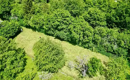 Prodej stavebního pozemku 399 m², Nemojany, okres Vyškov