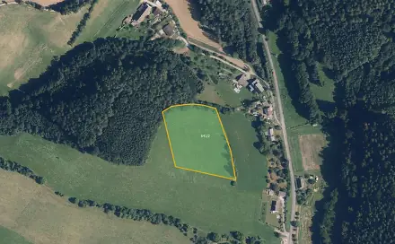 Prodej louky 9 619 m², Ruda nad Moravou - Hostice, okres Šumperk