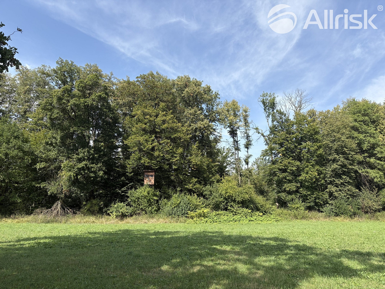 Prodej louky 2 145 m² – fotografie 2