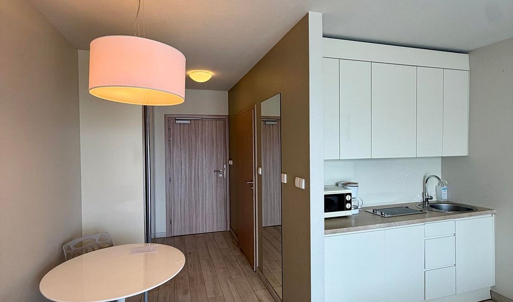 Prodej bytu 1+kk 28 m², Dolní Morava – náhled fotky 5