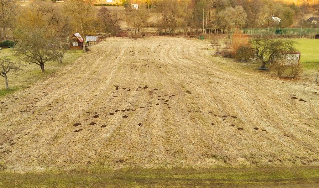 Prodej louky 3 000 m², Doubravník – náhled fotky 7