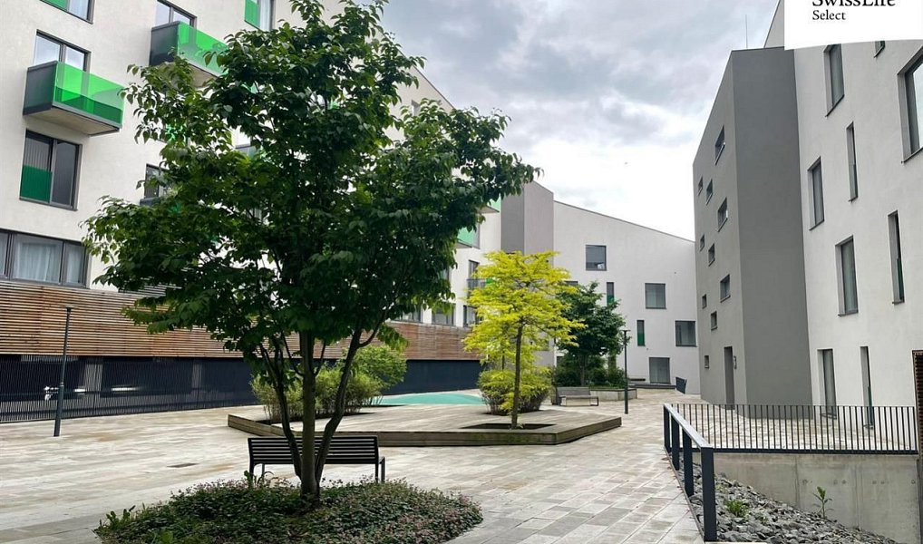 Pronájem bytu 2+kk 55 m², Plzeň – náhled fotky 11
