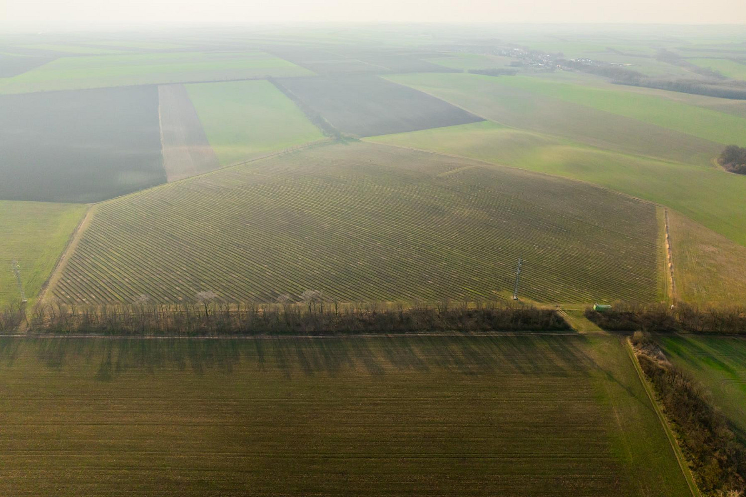 Prodej pole 243 931 m² – fotografie 3