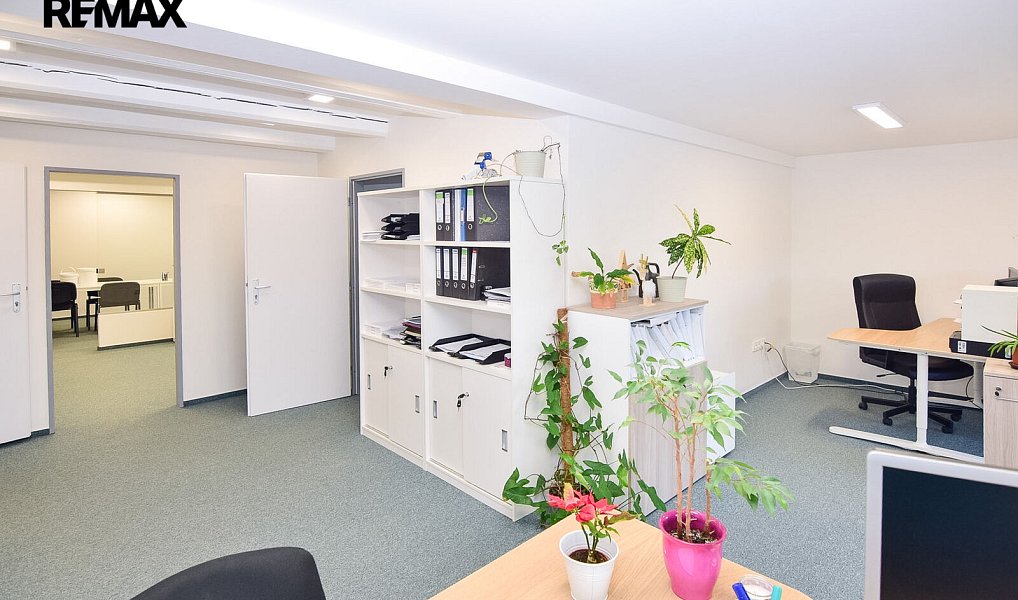 Pronájem výrobních prostor 434 m², Sudoměřice u Tábora – náhled fotky 11