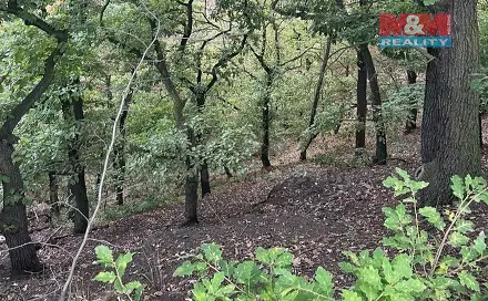 Prodej lesa 7 458 m², Bílina, okres Teplice