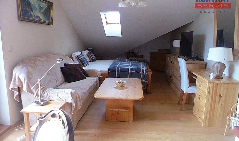 Pronájem bytu 1+kk 50 m², Železná Ruda – náhled fotky 4