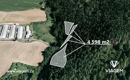 Prodej lesa 2 299 m², Manětín, okres Plzeň-sever