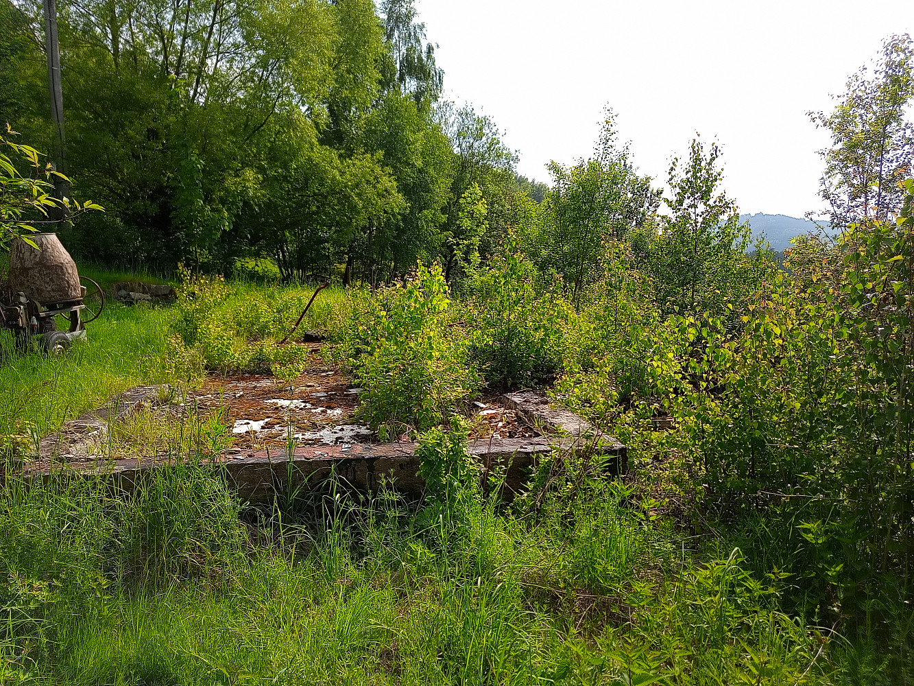 Fotka 10 z 17