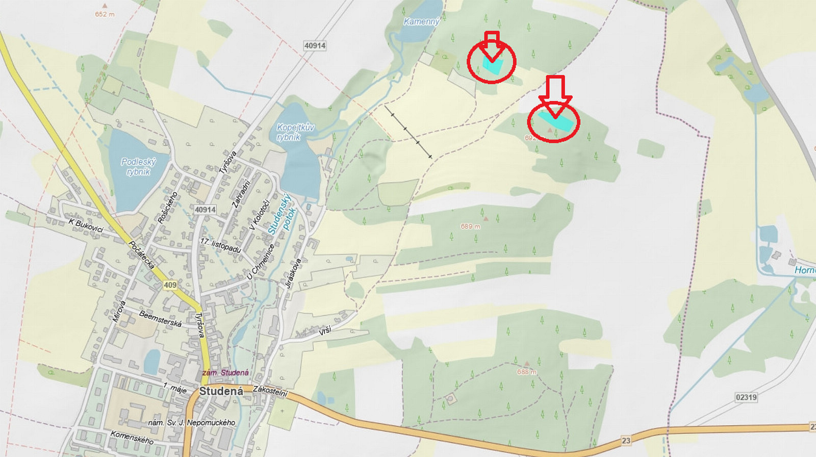 Prodej lesa 4 659 m²
