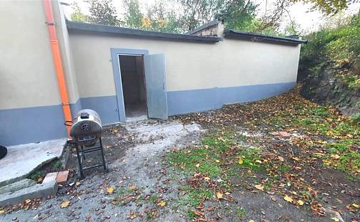 Pronájem skladovacích prostor 40 m², Bartoškova, Praha 4 - Nusle, okres Praha