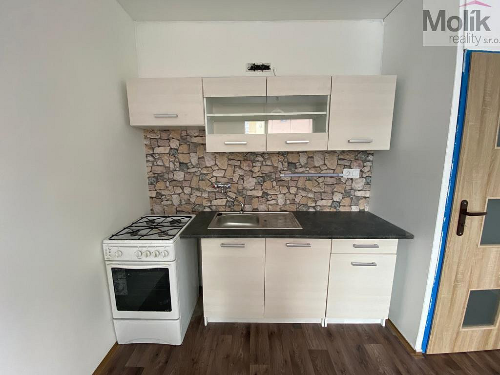 Pronájem bytu 1+1 38 m² – fotografie 3