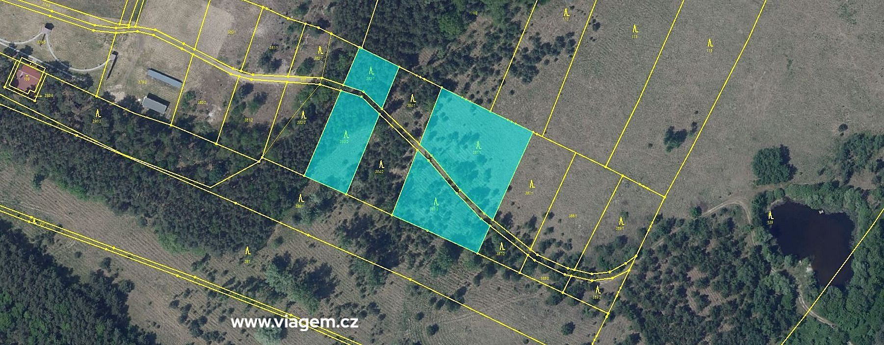 Prodej lesa 3 021 m² – fotografie 2