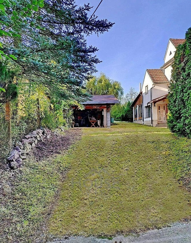 Fotka 16 z 19