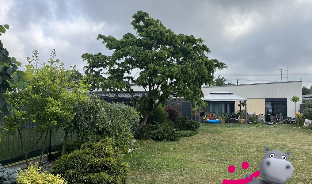 Prodej stavebního pozemku 7 610 m², Uhelná – náhled fotky 7