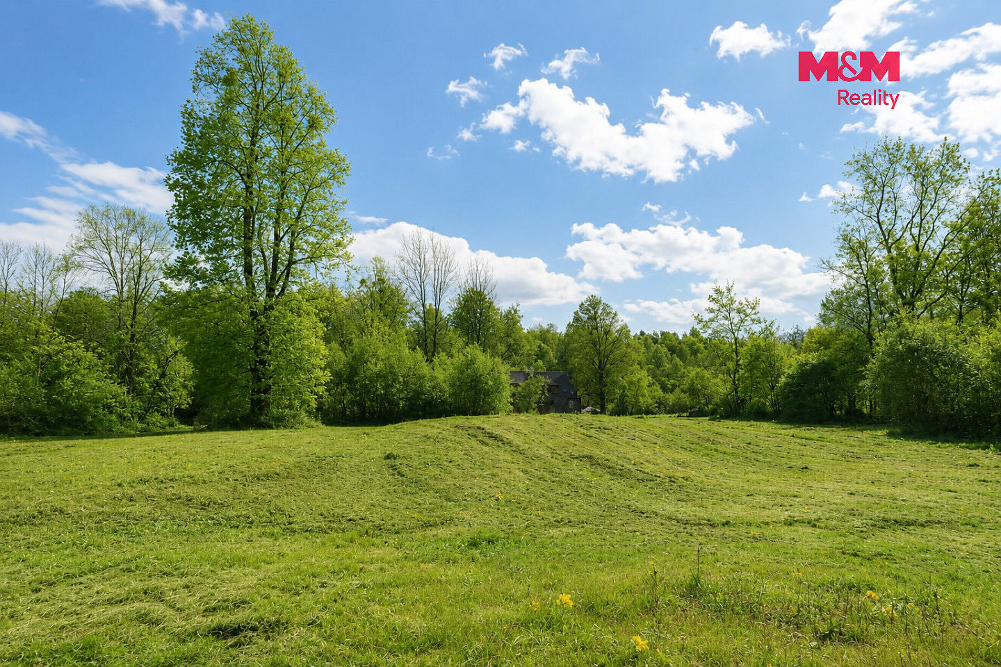 Prodej stavebního pozemku 4 352 m² – fotografie 5