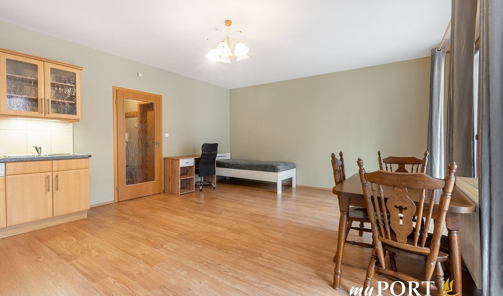 Pronájem bytu 1+kk 40 m², Plzeň – náhled fotky 4