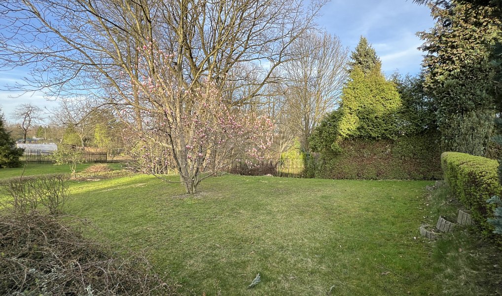 Prodej obchodních prostor 235 m², Orlová – náhled fotky 20