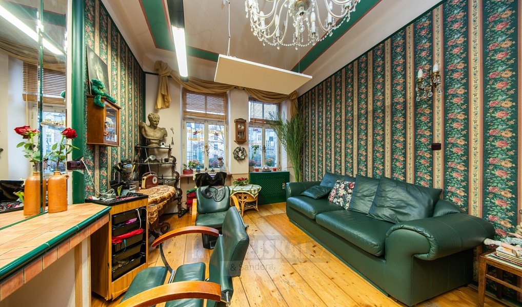 Prodej obchodních prostor 41 m², České Budějovice – náhled fotky 3