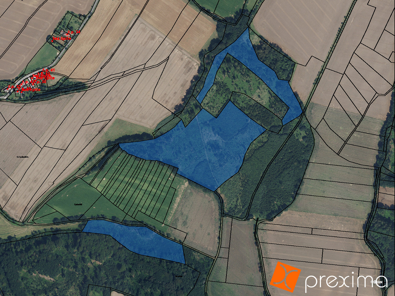 Prodej lesa 7 177 m²