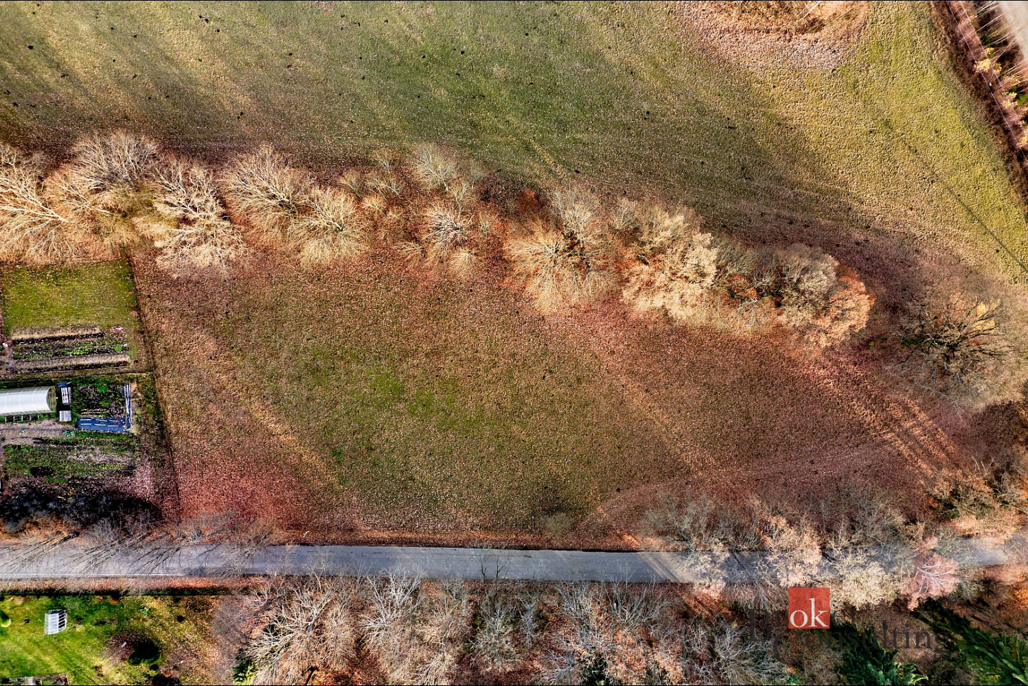 Prodej stavebního pozemku 3 662 m² – fotografie 5