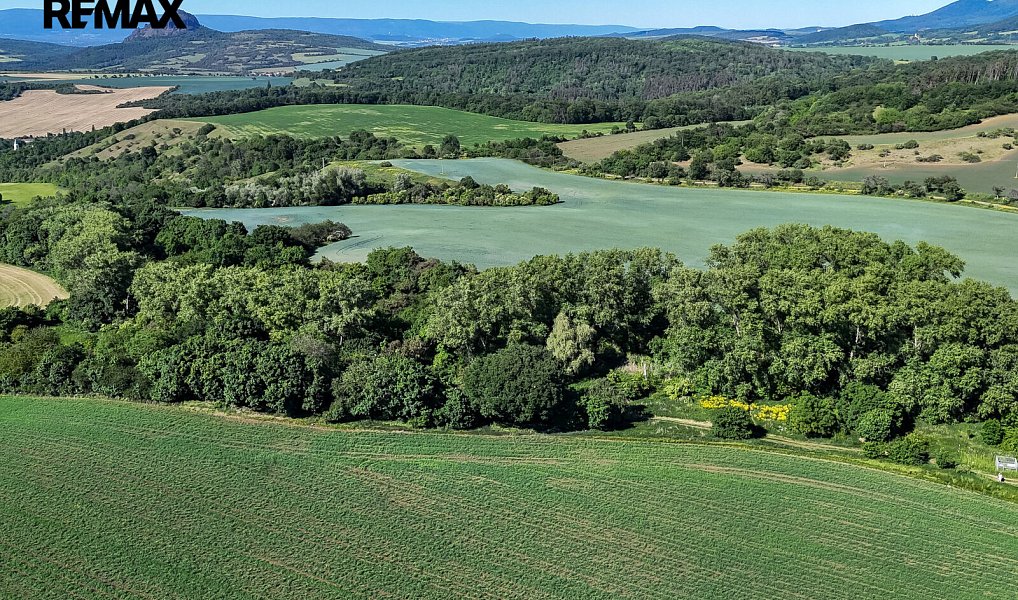 Prodej lesa 5 841 m², Skršín – náhled fotky 22