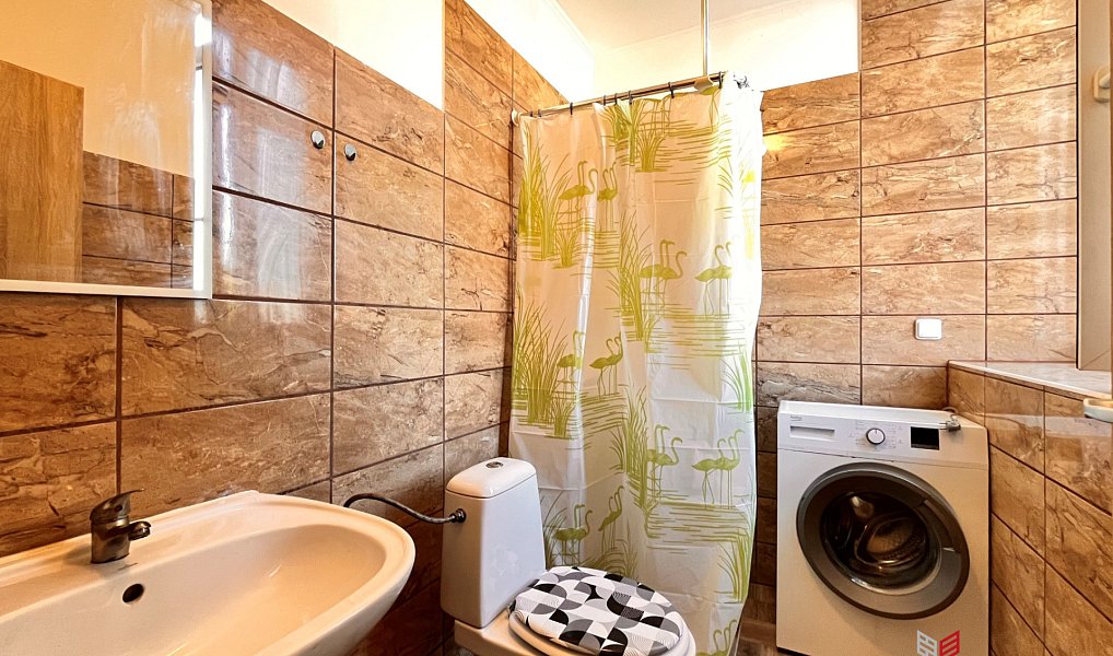 Pronájem bytu 1+kk 16 m², Hradec Králové – náhled fotky 4