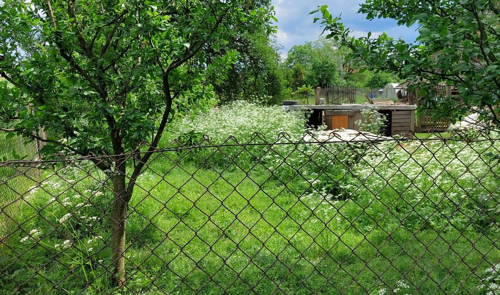 Prodej stavebního pozemku 550 m², Bělotín – náhled fotky 5