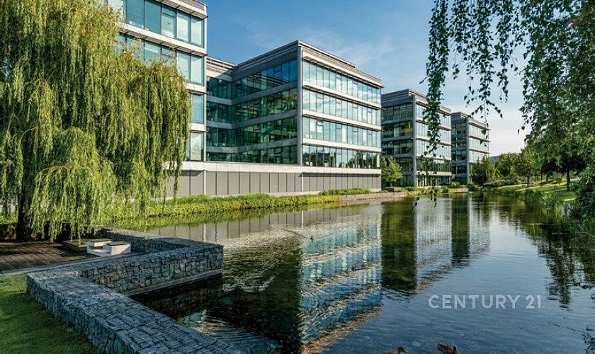 Pronájem kanceláře 530 m²