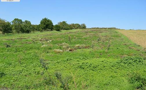 Prodej stavebního pozemku 2 369 m², Fibichova, Držovice, okres Prostějov