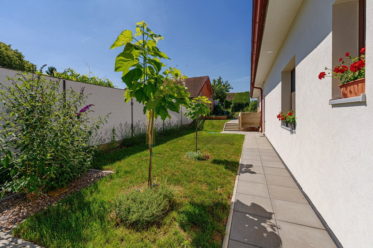 Prodej domu 164 m² s pozemkem 2 943 m² – fotografie 4