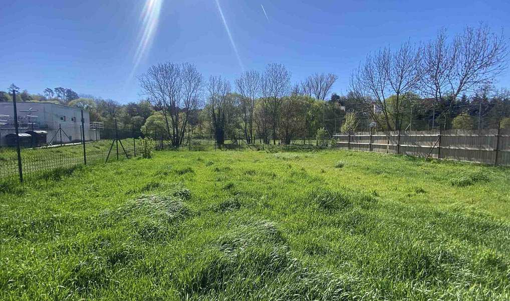 Prodej domu 161 m² s pozemkem 1 942 m², Biskupice-Pulkov – náhled fotky 7