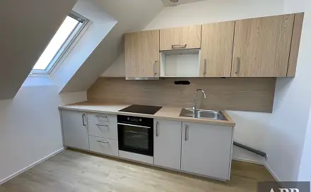 Pronájem bytu 1+kk 43 m²