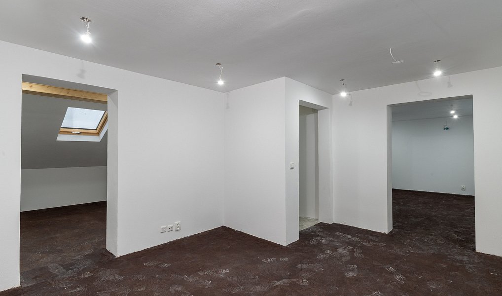Prodej domu 270 m² s pozemkem 624 m², Karviná – náhled fotky 36