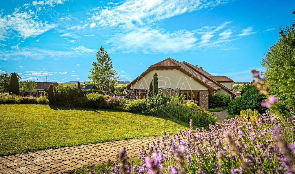 Prodej ubytovacího objektu 1 450 m², Hlohovec – náhled fotky 9