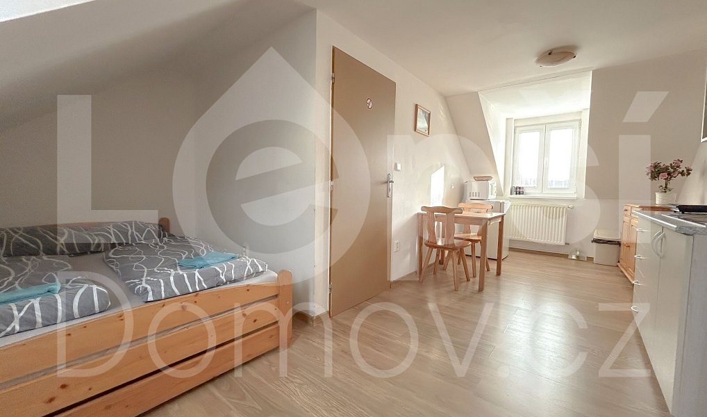 Prodej ubytovacího objektu 330 m², Zlaté Hory – náhled fotky 22